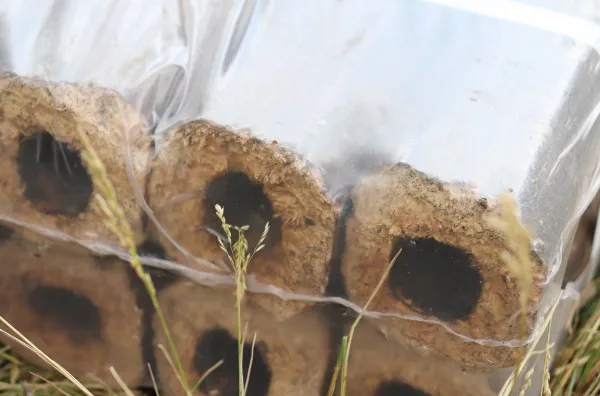 брикеты топливные из пресс. опилок, pini&kay (10кг)